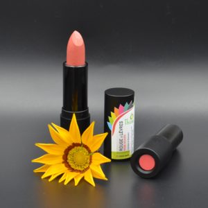 Rouge à lèvres Rose acajou